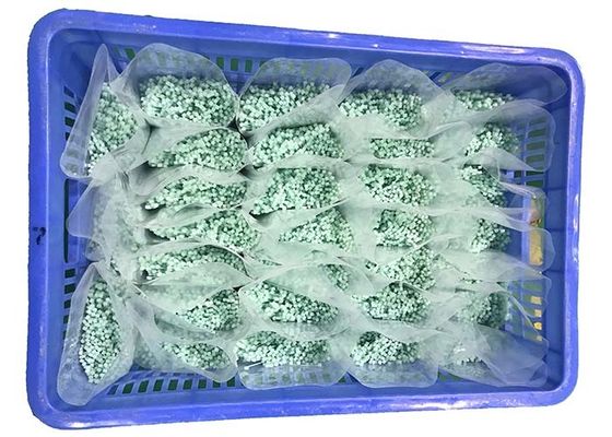 satın al REACH Hafif Yeşil 120 Derece 2.5mm Naylon Kablo Bağları online manufacture